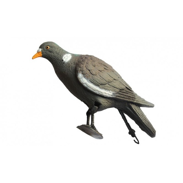 birdland-golub-s-lapami-7817